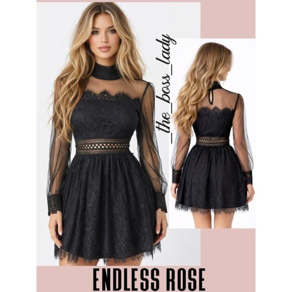 Endless Rose dress floral lace mini sheer XS